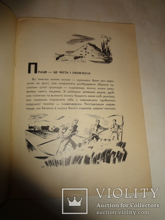 1943 Українська Служба Батьківщини Оккупація Німеччиною, фото №11