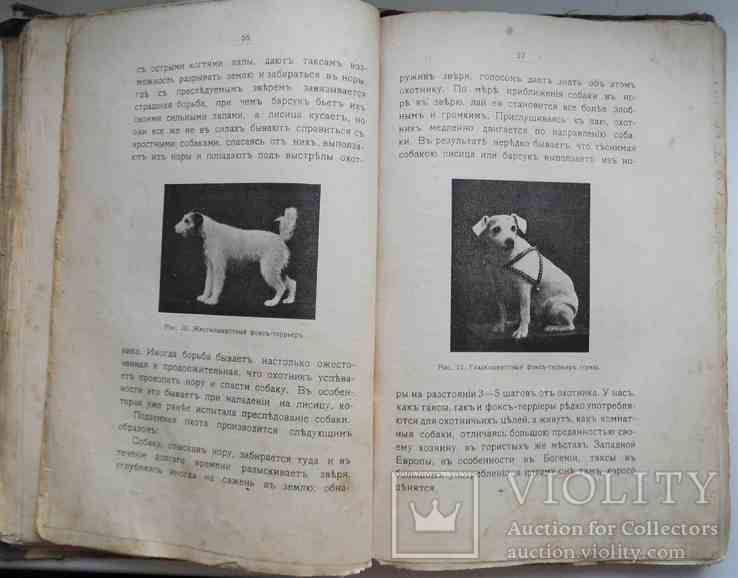 Породы собак, воспитание и дресировка комнатных и натаска подружейных. 1913, фото №8