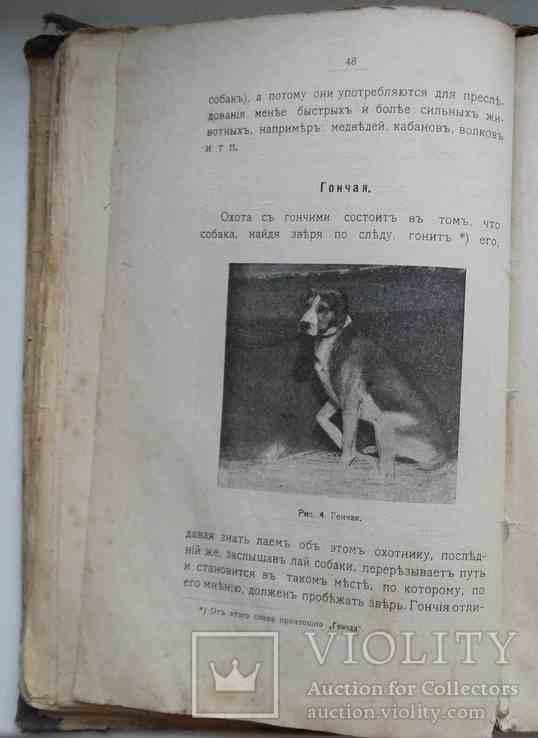 Породы собак, воспитание и дресировка комнатных и натаска подружейных. 1913, фото №9