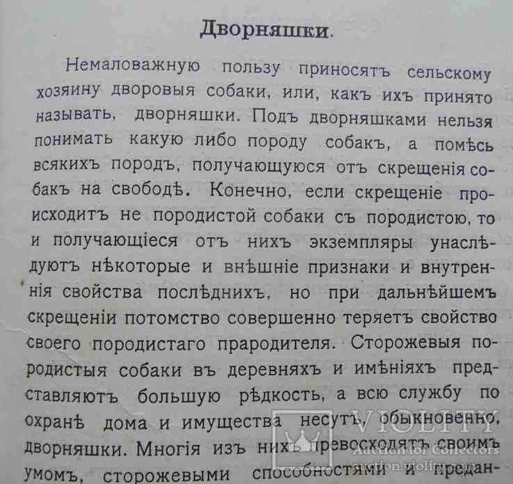 Породы собак, воспитание и дресировка комнатных и натаска подружейных. 1913, фото №12