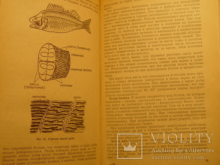 Технология приготовления пищи 1978г, фото №12