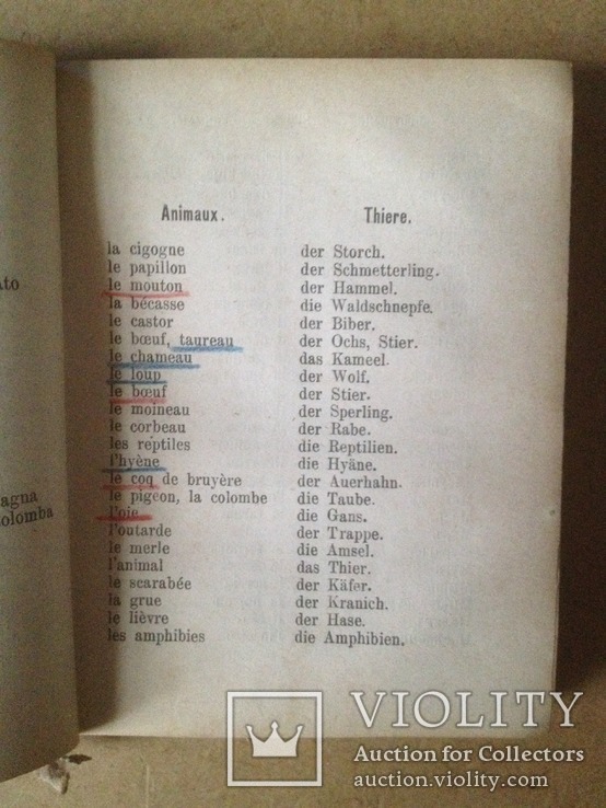 А.Д.Замыцкий-Русскiй За Границей(1880г.), фото №12