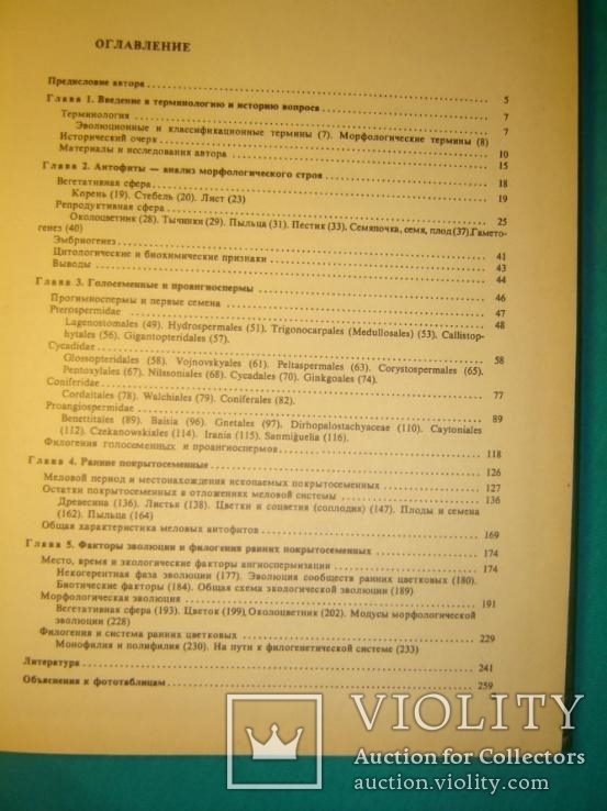 Происхождение и ранняя эволюция цветковых растений., фото №3