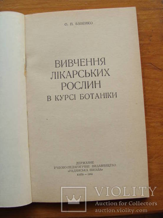 Вивчення лікарських рослин в курсі ботаніки., фото №4