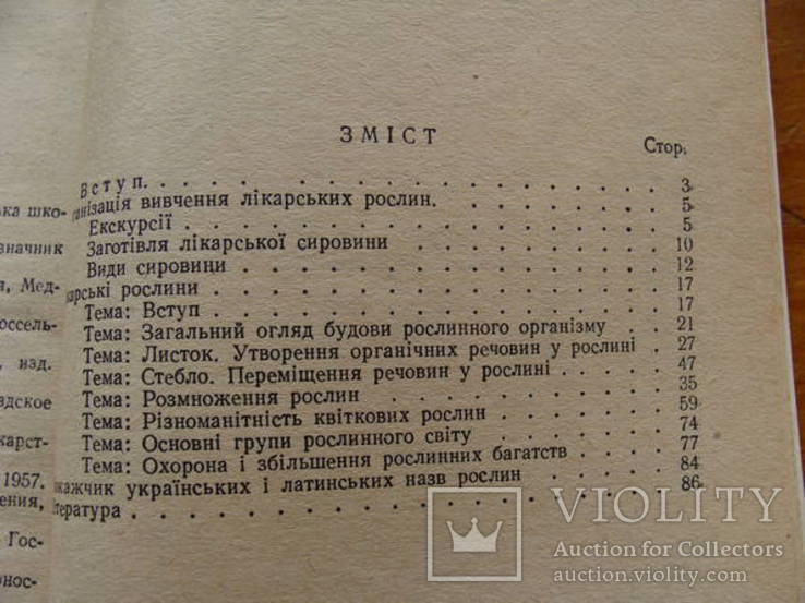 Вивчення лікарських рослин в курсі ботаніки., фото №10