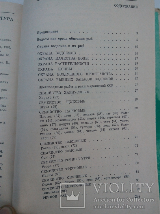 Любительское рыболовство. 1977г, фото №10