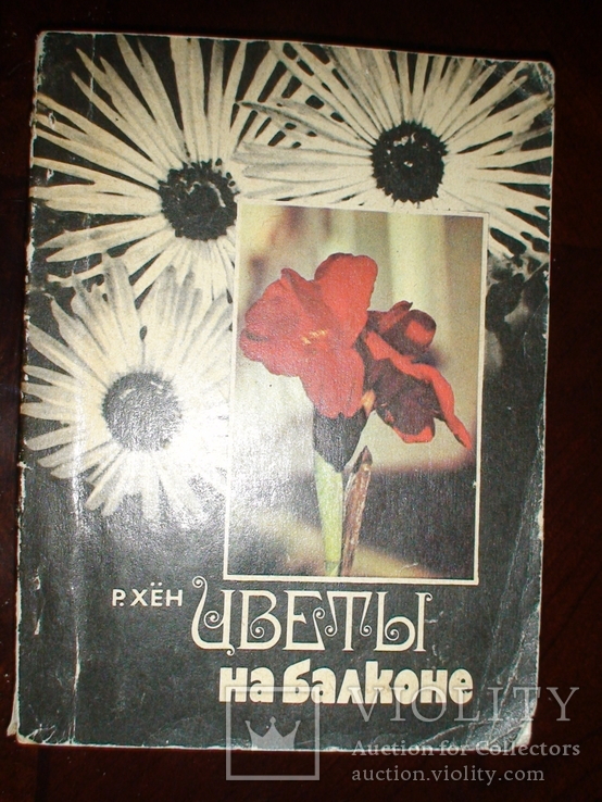 Цвети на балконе, фото №2