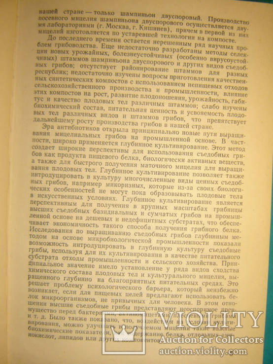 Высшие съедобные базидиомицеты в поверхностной и глубинной культуре., фото №6