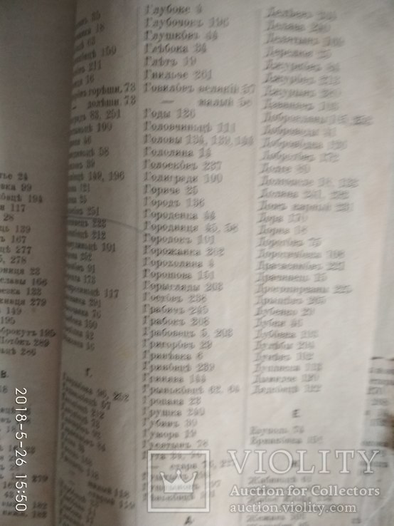 Стародавня церковна книга поч. ХХ ст, фото №7