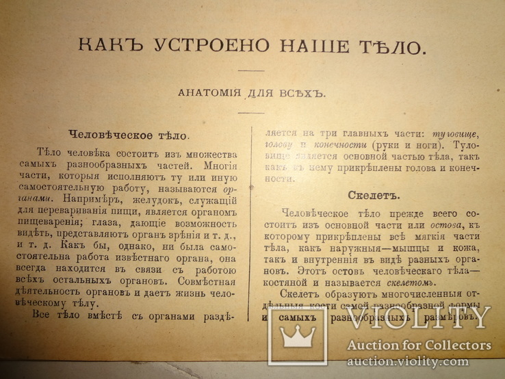 1912 Анатомия для всех, фото №9