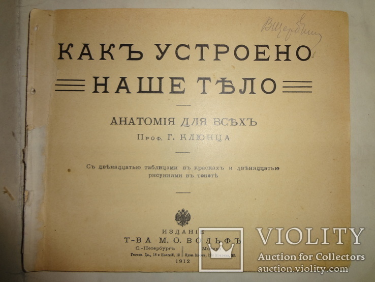 1912 Анатомия для всех, фото №11