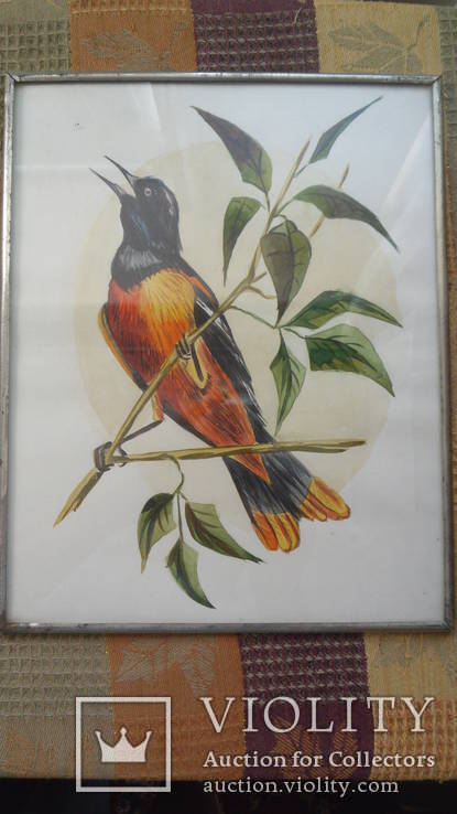 Картина Птица на ветке №1, фото №2