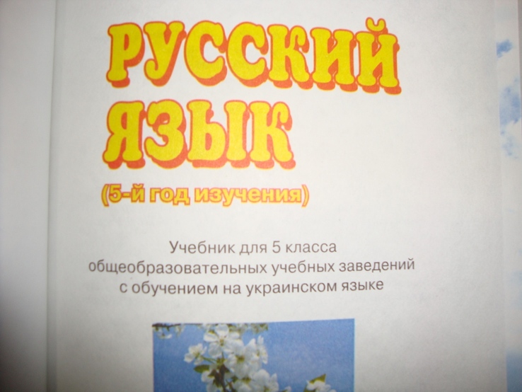 Русский язык  5 класс, фото №4