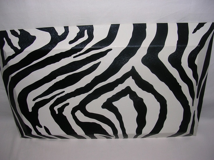 Разнос зебра, фото №3