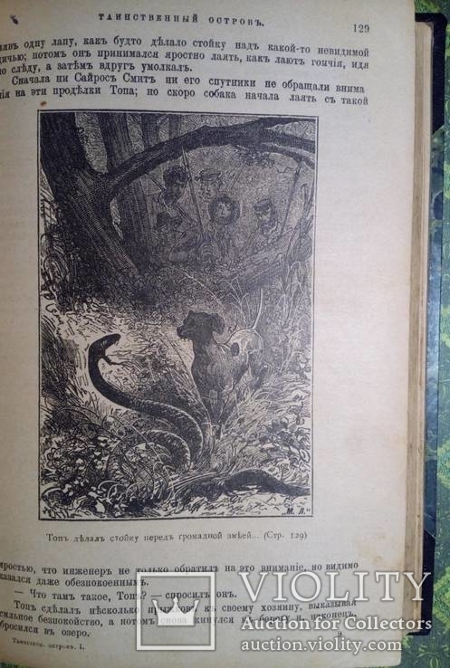 Жюль Верн - Таинственный остров 1897г. Много иллюстраций., фото №8