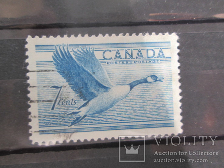 Канада 1952 фауна гаш