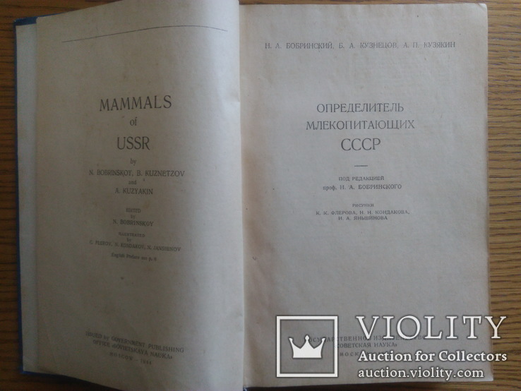 Бобринский Определитель млекопитающих СССР, фото №3