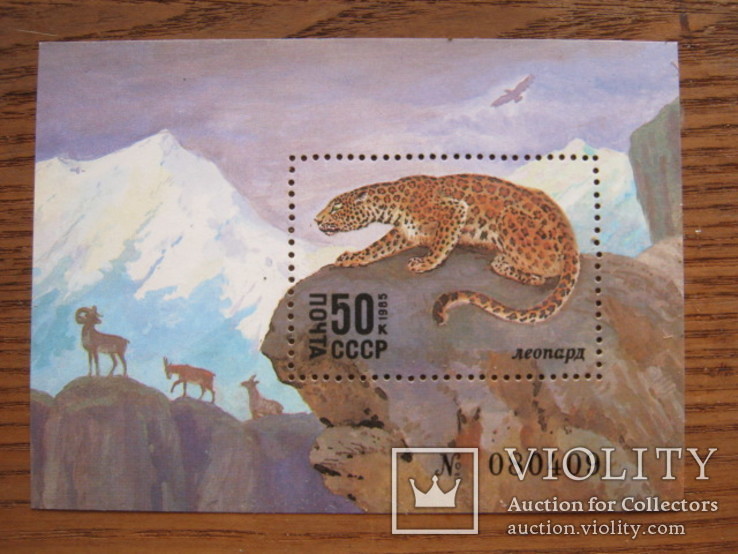 Почтовые негашеные марки и блоки  СССР, фото №10