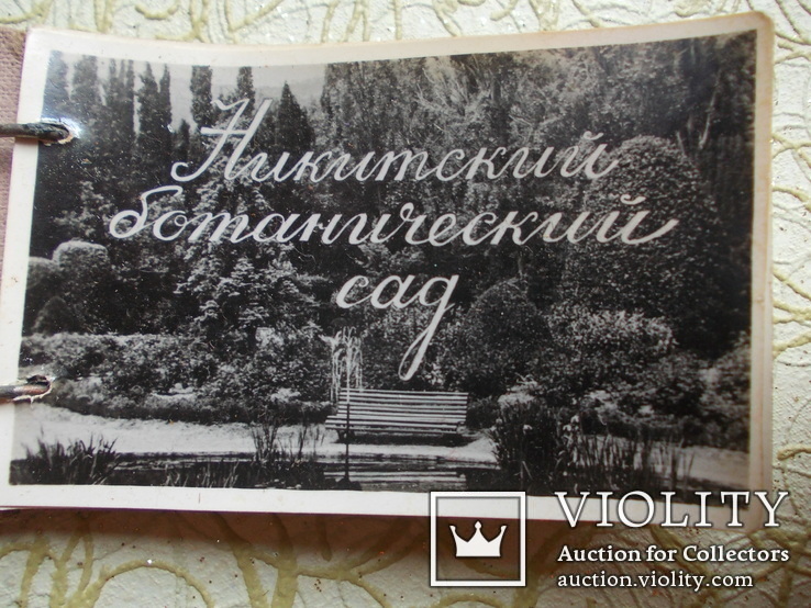 Альбом-сувенир видов Крыма Никитский ботанический сад, фото №4