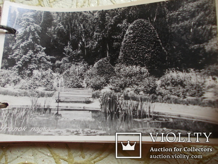 Альбом-сувенир видов Крыма Никитский ботанический сад, фото №5