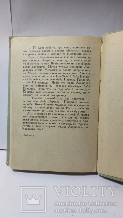 І. Нечуй-Левицький. "Кайдашева Сім'я", фото №9