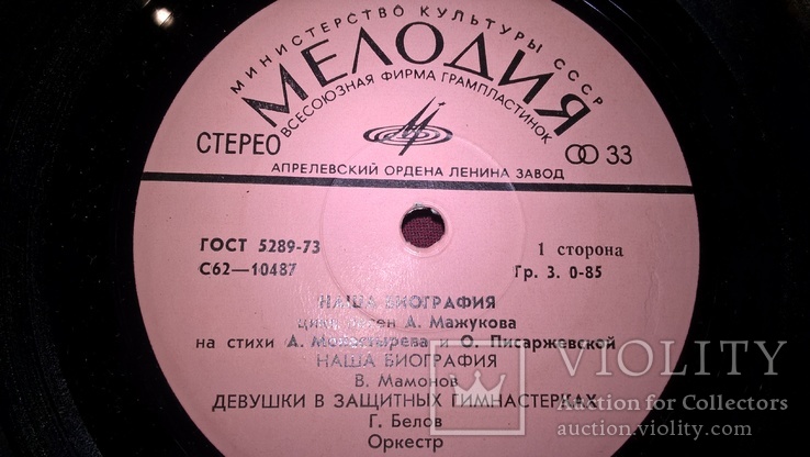 V.A. Сборник (Цикл Песен. Наша Биография) 1978. (LP). 7. Vinyl. Пластинка. RARE., фото №6