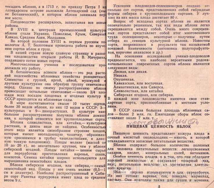 Яблоко на вашем столе.1991 г., фото №9