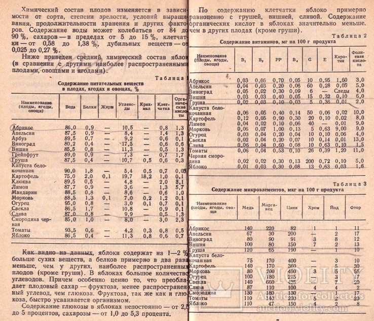 Яблоко на вашем столе.1991 г., фото №10