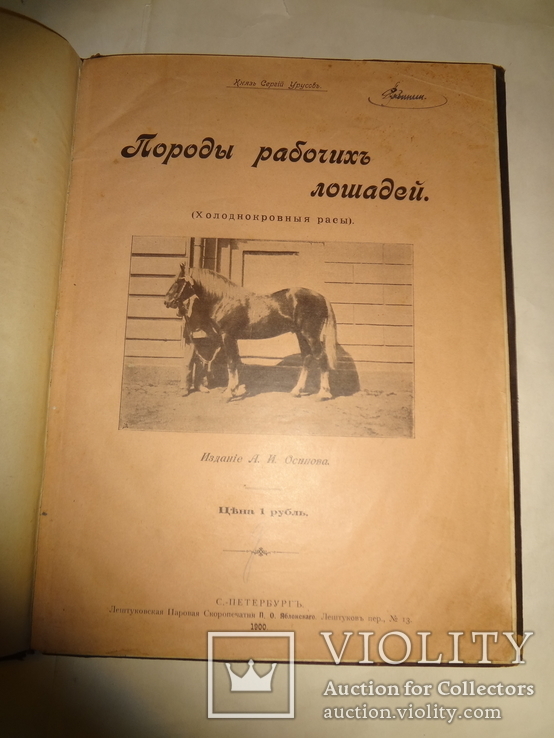 1900 Альбом Лошадей князя Урусова 31 на 23 см., фото №4