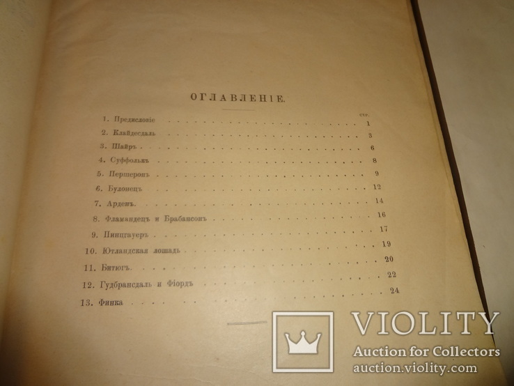 1900 Альбом Лошадей князя Урусова 31 на 23 см., фото №6