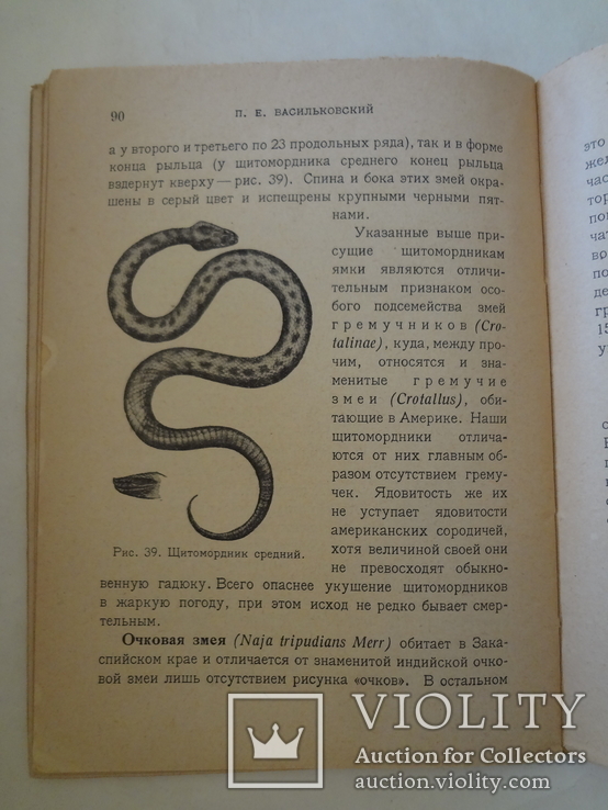 1928 Наши ядовитые растения и животные, фото №6