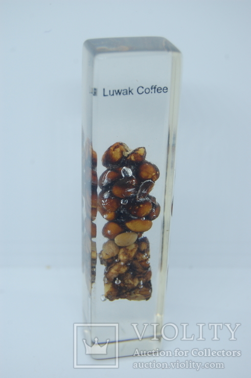 Сувенир Кофе Лувак Luwak Coffee. Самое дорогое кофе. 115мм, фото №2