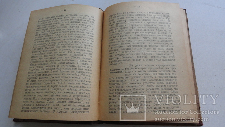 Никольский. Очерки первобытного человечества. 1926 д136, фото №6