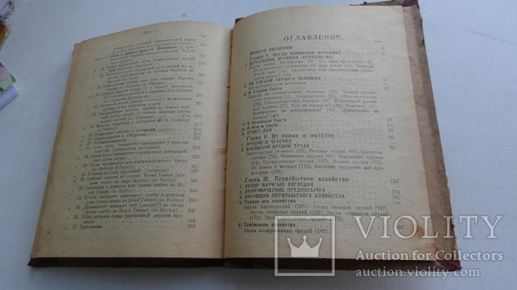 Никольский. Очерки первобытного человечества. 1926 д136, фото №10