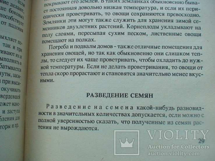 Урожайные грядки 1992р., фото №4