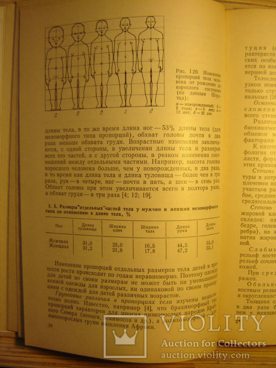 Размерная типология населения с основами анатомии и морфологии., фото №5