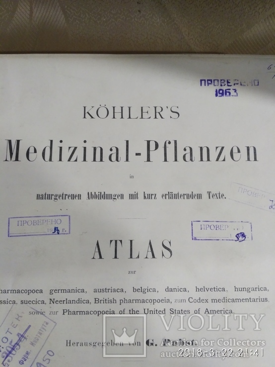 Старый немецки атлас растений 1887г.в., фото №9