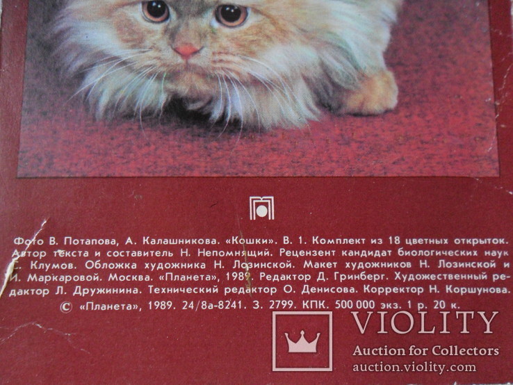 Набор открыток Кошки, фото №7