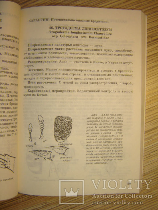 Краткий справочник по вредителям растений  в Украине., фото №3