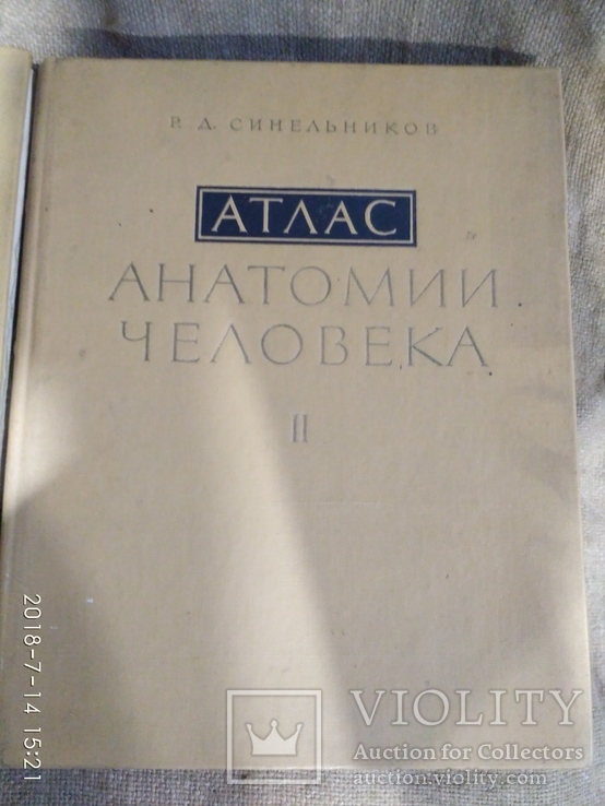 Атлас анатомии человека 2 тома 1979г.в., фото №2