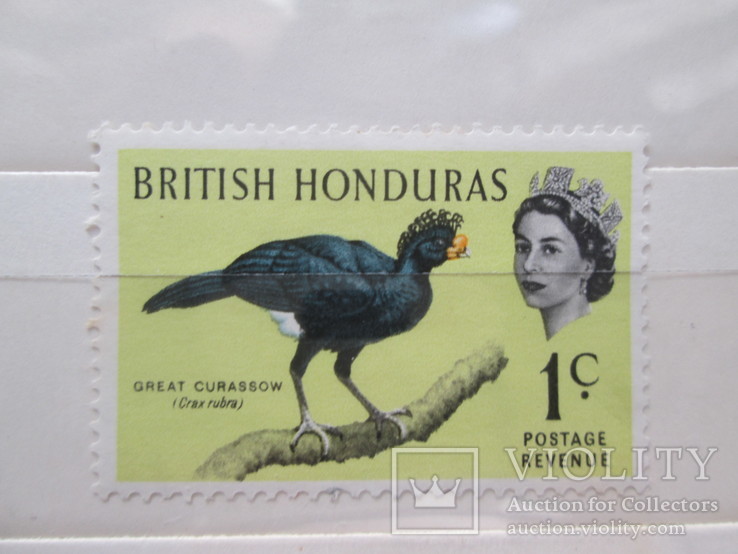 Британский Гондурас фауна 1962 **