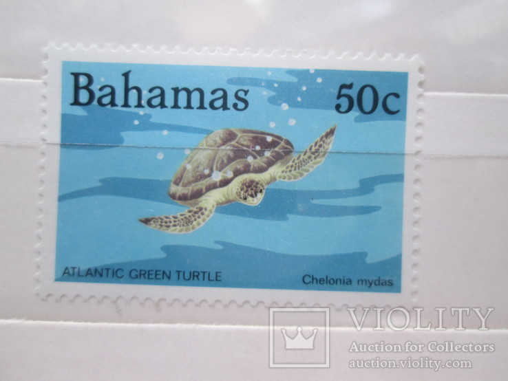 Багамские острова черепахи 1984 *