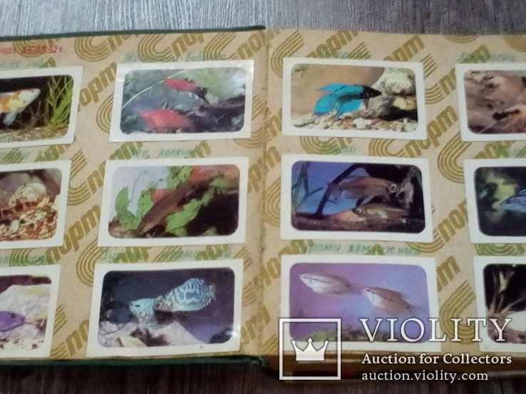 Альбом с календариками и открытками 1990-93 год., фото №4