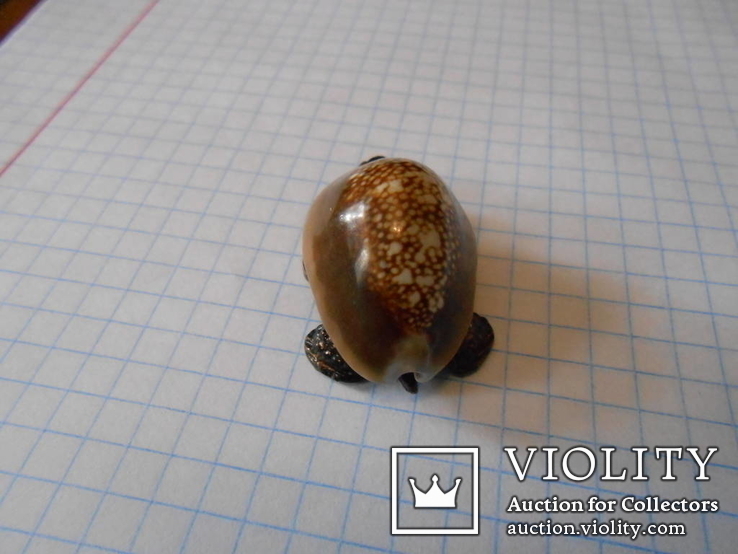 Черепашка (панцирь-ракушка каури),миниатюра., фото №6