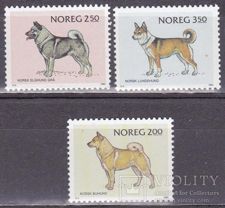 Норвегия 1983 собаки MNH