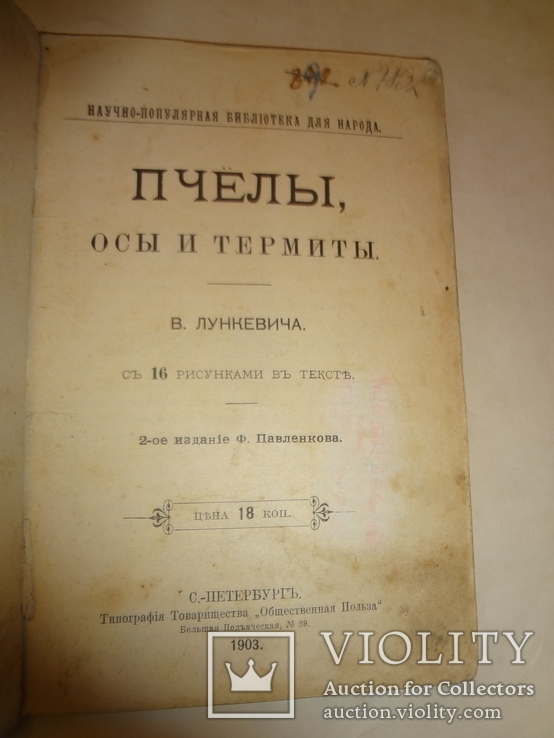 1903 Пчелы Осы и Термиты, фото №4