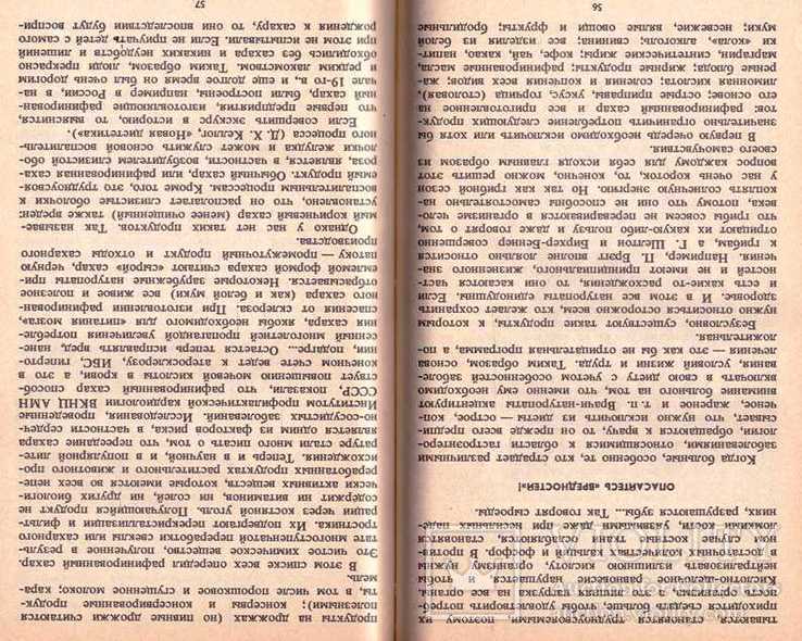 Три пользы.1989 г., фото №7