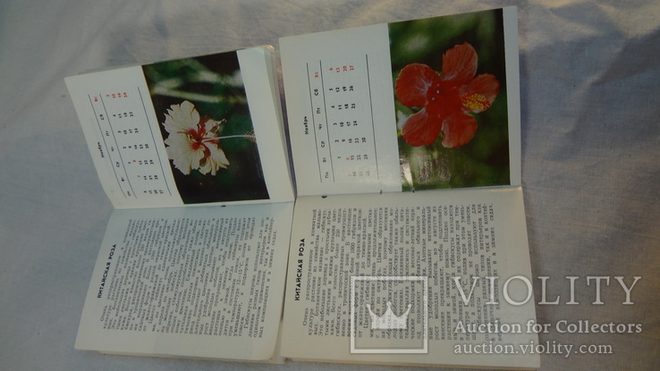 Календарь цветовода за 1988 г. и 1989 г., photo number 9