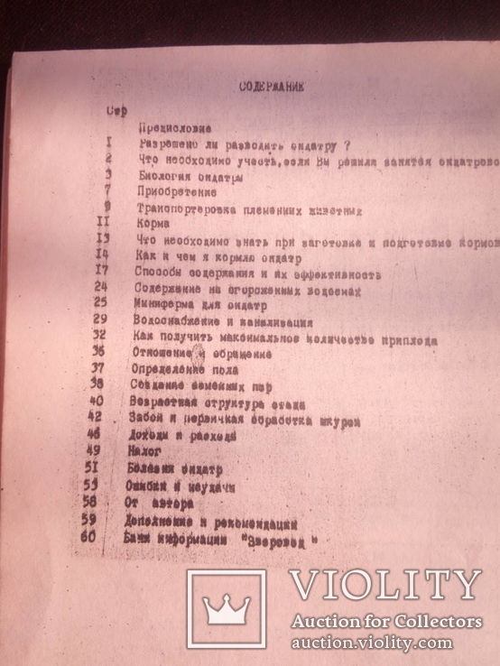 Опыт разведения ондатры, фото №8