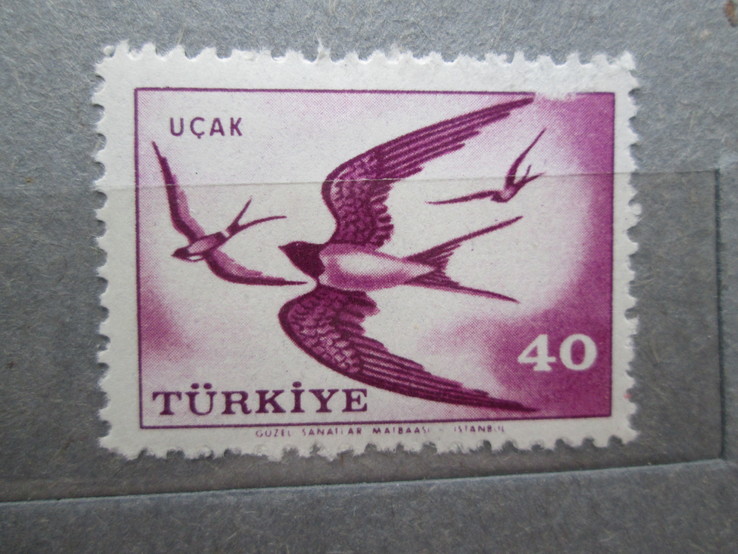 Турция 1959 фауна **